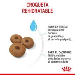 Royal Canin Maxi Starter -Ofertas Mascotas Tienda rc spt dry maxistart cv 4 es es 5