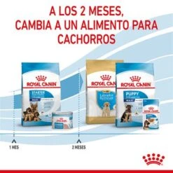 Royal Canin Maxi Starter -Ofertas Mascotas Tienda rc spt dry maxistart cv 5 es es 1