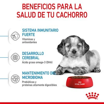 Royal Canin Medium Puppy 4 Royal Canin Medium Puppy - Imagen 4