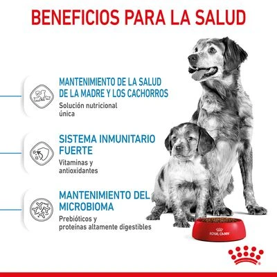Royal Canin Medium Starter 4 Royal Canin Medium Starter - Imagen 4