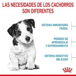 Royal Canin Mini Puppy / Junior -Ofertas Mascotas Tienda rc spt dry minipuppy cv 2 es es 8