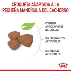Royal Canin Mini Puppy / Junior -Ofertas Mascotas Tienda rc spt dry minipuppy cv 4 es es 1