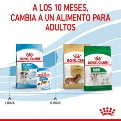 Royal Canin Mini Puppy / Junior -Ofertas Mascotas Tienda rc spt dry minipuppy cv 5 es es 3