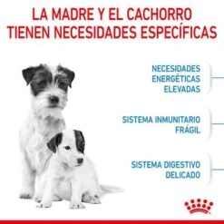 Royal Canin Mini Starter -Ofertas Mascotas Tienda rc spt dry ministart cv 2 es es 6