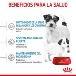 Royal Canin Mini Starter -Ofertas Mascotas Tienda rc spt dry ministart cv 3 es es 6