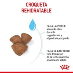 Royal Canin Mini Starter -Ofertas Mascotas Tienda rc spt dry ministart cv 4 es es 0