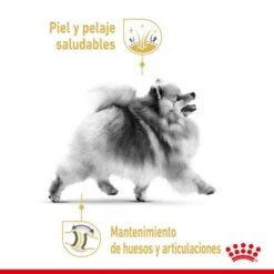 Royal Canin Breed Pomerania Adult -Ofertas Mascotas Tienda rc spt dry pomad cv 1 es es 1