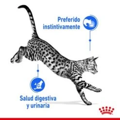 Royal Canin Indoor Sterilised En Salsa -Ofertas Mascotas Tienda rc spt wet indstergravy cv 1 es es 8