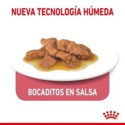 Royal Canin Indoor Sterilised En Salsa -Ofertas Mascotas Tienda rc spt wet indstergravy cv 3 es es 0