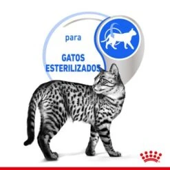 Royal Canin Indoor Sterilised En Gelatina 11 Royal Canin Indoor Sterilised En Gelatina -Ofertas Mascotas Tienda rc spt wet indsterjelly cv 2 es es 9