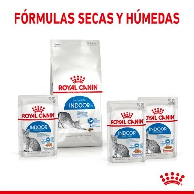 Royal Canin Indoor Sterilised En Gelatina 6 Royal Canin Indoor Sterilised En Gelatina - Imagen 6