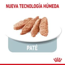 Royal Canin Indoor Sterilised Paté -Ofertas Mascotas Tienda rc spt wet indsterloaf cv 3 es es 2