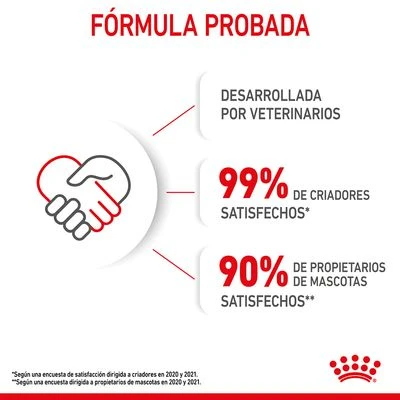 Royal Canin Kitten Instinctive En Salsa - Imagen 11