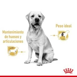 Royal Canin Breed Labrador Retriever En Salsa -Ofertas Mascotas Tienda rc spt wet labad cv 1 es es 2