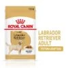 Royal Canin Breed Labrador Retriever En Salsa
