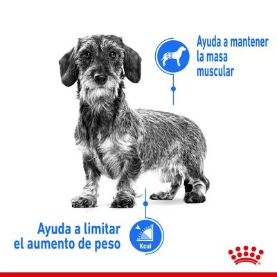 Royal Canin CCN Light Weight Care Mousse Para Perros 3 Royal Canin CCN Light Weight Care Mousse Para Perros - Imagen 3