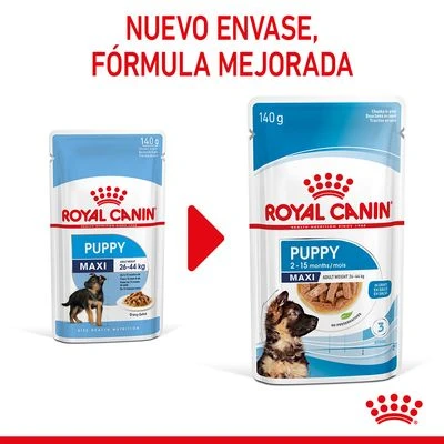 Royal Canin Maxi Puppy En Salsa Para Perros 4 Royal Canin Maxi Puppy En Salsa Para Perros - Imagen 4