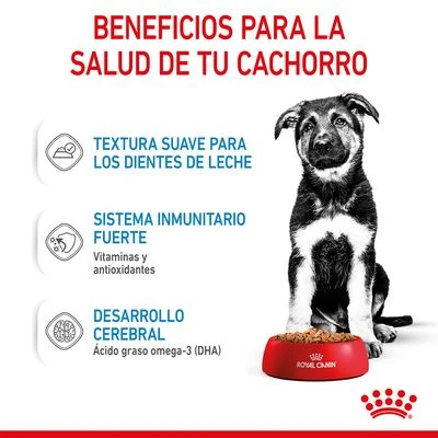 Royal Canin Maxi Puppy En Salsa Para Perros 6 Royal Canin Maxi Puppy En Salsa Para Perros - Imagen 6