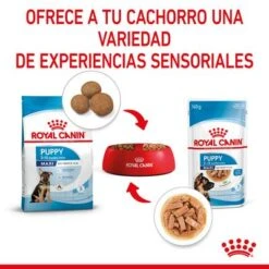 Royal Canin Maxi Puppy En Salsa Para Perros 17 Royal Canin Maxi Puppy En Salsa Para Perros -Ofertas Mascotas Tienda rc spt wet maxipuppy cv 4 es es 7