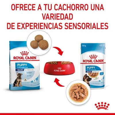 Royal Canin Maxi Puppy En Salsa Para Perros 7 Royal Canin Maxi Puppy En Salsa Para Perros - Imagen 7