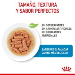 Royal Canin Medium Puppy En Salsa Para Perros 15 Royal Canin Medium Puppy En Salsa Para Perros -Ofertas Mascotas Tienda rc spt wet mediumpuppy cv 2 es es 8