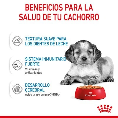 Royal Canin Medium Puppy En Salsa Para Perros 6 Royal Canin Medium Puppy En Salsa Para Perros - Imagen 6