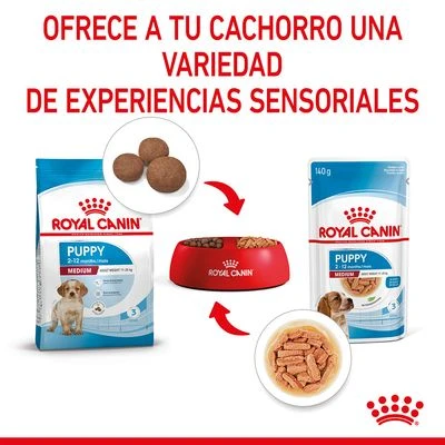 Royal Canin Medium Puppy En Salsa Para Perros 7 Royal Canin Medium Puppy En Salsa Para Perros - Imagen 7