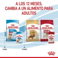 Royal Canin Medium Puppy En Salsa Para Perros 19 Royal Canin Medium Puppy En Salsa Para Perros -Ofertas Mascotas Tienda rc spt wet mediumpuppy cv 8 es es 9