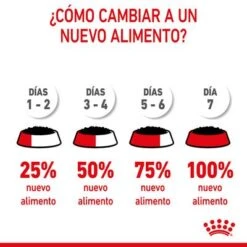 Royal Canin Medium Puppy En Salsa Para Perros 18 Royal Canin Medium Puppy En Salsa Para Perros -Ofertas Mascotas Tienda rc spt wet mediumpuppy cv 9 es es 1