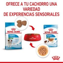 Royal Canin Mini Puppy En Salsa Para Perros -Ofertas Mascotas Tienda rc spt wet minipuppy cv 4 es es 7