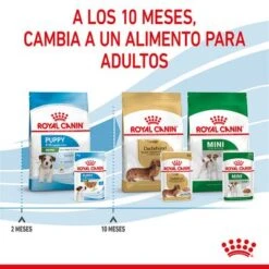 Royal Canin Mini Puppy En Salsa Para Perros -Ofertas Mascotas Tienda rc spt wet minipuppy cv 8 es es 5