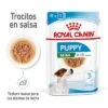 Royal Canin Mini Puppy En Salsa Para Perros