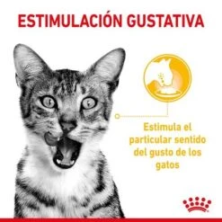 Royal Canin Sensory En Salsa - Pack Mixto -Ofertas Mascotas Tienda rc spt wet sensmultipack cv 2 es es 9