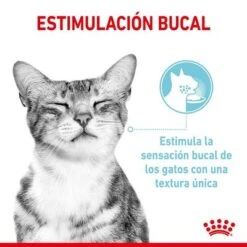 Royal Canin Sensory En Salsa - Pack Mixto -Ofertas Mascotas Tienda rc spt wet sensmultipack cv 3 es es 7