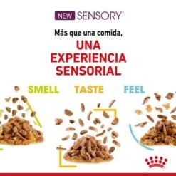 Royal Canin Sensory En Salsa - Pack Mixto -Ofertas Mascotas Tienda rc spt wet sensmultipack cv 4 es es 4