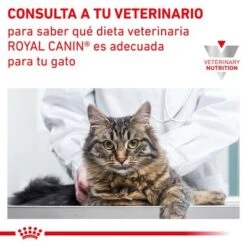 Royal Canin Veterinary Feline Renal En Salsa Sobres Para Gatos -Ofertas Mascotas Tienda rc vet dry catrenal cv eretailkit 9 es es 7
