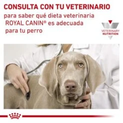 Royal Canin Veterinary Canine Anallergenic Pienso Para Perros 12 Royal Canin Veterinary Canine Anallergenic Pienso Para Perros -Ofertas Mascotas Tienda rc vet dry dogana cv eretailkit 6 es es 5