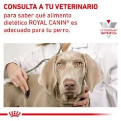 Royal Canin Veterinary Canine Hypoallergenic Puppy Pienso Para Perros -Ofertas Mascotas Tienda rc vet dry doghypopu cv eretailkit 6 es es 2