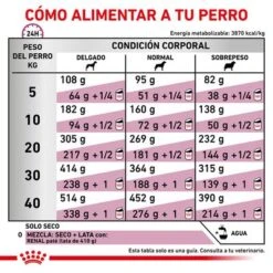 Royal Canin Veterinary Canine Renal Special Pienso Para Perros -Ofertas Mascotas Tienda rc vet dry dogrenalspe cv eretailkit 6 es es 3
