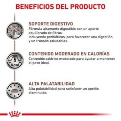 Royal Canin Veterinary Feline Gastro Intestinal Moderate Calorie -Ofertas Mascotas Tienda rc vet wet catgastromcmig cv eretailkit 2 es es 1