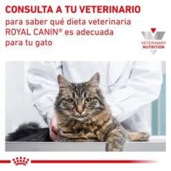 Royal Canin Veterinary Feline Gastro Intestinal Moderate Calorie -Ofertas Mascotas Tienda rc vet wet catgastromcmig cv eretailkit 7 es es 2