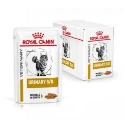 Royal Canin Veterinary Feline Urinary S/O -Ofertas Mascotas Tienda rc vet wet caturinarysocig mv eretailkit 2 de de 1