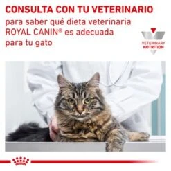 Royal Canin Veterinary Feline Urinary S/O Moderate Calorie 12 Royal Canin Veterinary Feline Urinary S/O Moderate Calorie -Ofertas Mascotas Tienda rc vet wet caturinarysomc cv eretailkit 6 es es 9
