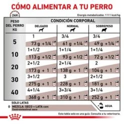 Royal Canin Veterinary Canine Gastrointestinal Mousse -Ofertas Mascotas Tienda rc vet wet doggastro400g cv eretailkit 4 es es 7