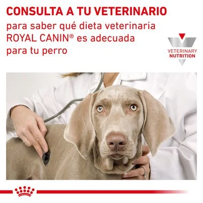 Royal Canin Veterinary Canine Renal Mousse 6 Royal Canin Veterinary Canine Renal Mousse - Imagen 6