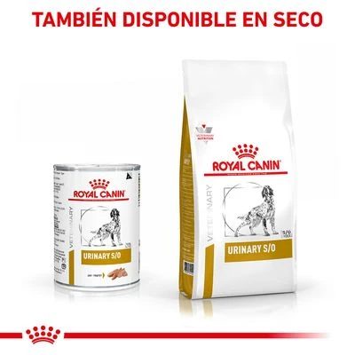 Royal Canin Veterinary Canine Urinary S/O Mousse 5 Royal Canin Veterinary Canine Urinary S/O Mousse - Imagen 5