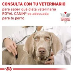 Royal Canin Veterinary Canine Urinary S/O Mousse 12 Royal Canin Veterinary Canine Urinary S/O Mousse -Ofertas Mascotas Tienda rc vet wet dogurinarysoloaf400g cv eretailkit 6 es es 7