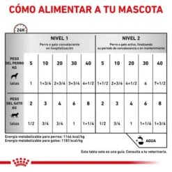Royal Canin Veterinary Canine Recovery Mousse Perros Y Gatos -Ofertas Mascotas Tienda rc vet wet mixrecov200g cv eretailkit 4 es es 3