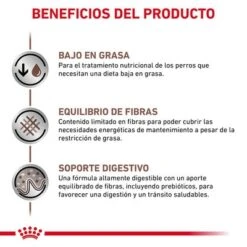 Royal Canin Veterinary Canine Gastrointestinal Low Fat Mousse -Ofertas Mascotas Tienda rc vhn gastrointestinallowfatwet 420g cv 2 es es pdf 9