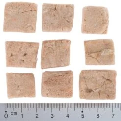 Pack De Prueba Mixto: Wolf Of Wilderness Snacks Liofilizados Premium 24 Pack De Prueba Mixto: Wolf Of Wilderness Snacks Liofilizados Premium -Ofertas Mascotas Tienda wow fd snack blue river cubes with ruler 4 1